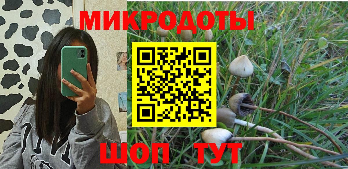 Галлюциногенные грибы Psilocybine cubensis Среднеуральск