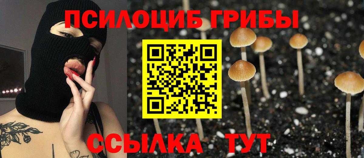 Среднеуральск  Псилоцибиновые грибы ЛСД  Галлюциногенные грибы Magic Shrooms  Вход с VPN 